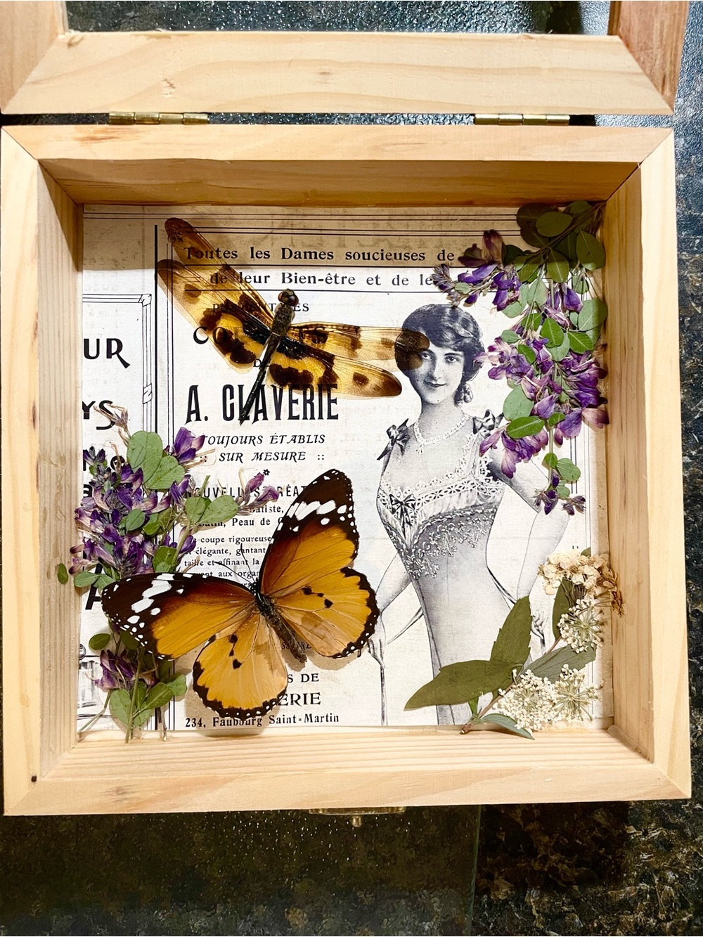 Antique Victorian ad Butterfly Dragonfly Shadow Box Wall Art